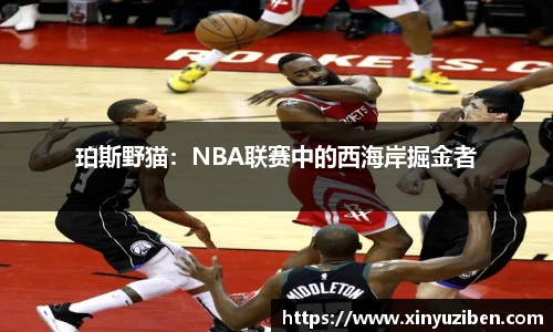 珀斯野猫：NBA联赛中的西海岸掘金者
